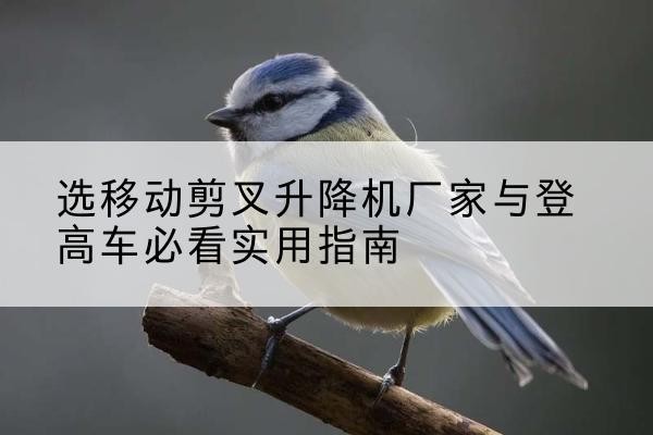 琅琊电动升降机厂家-选移动剪叉升降机厂家与登高车必看实用指南
