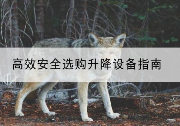 琅琊升降货梯厂家推荐-*安全选购升降设备指南