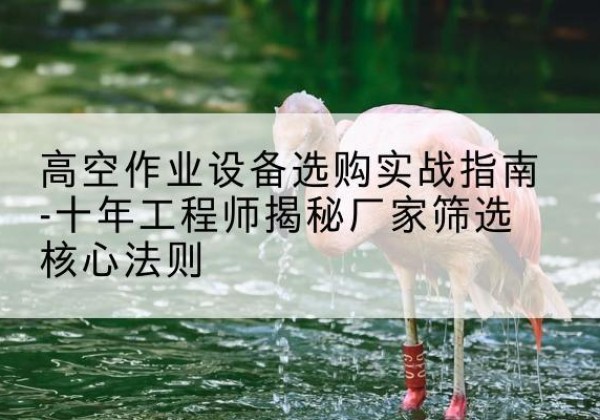 琅琊剪叉式升降机厂家-高空作业设备选购实战指南-十年工程师揭秘厂家筛选核心法则
